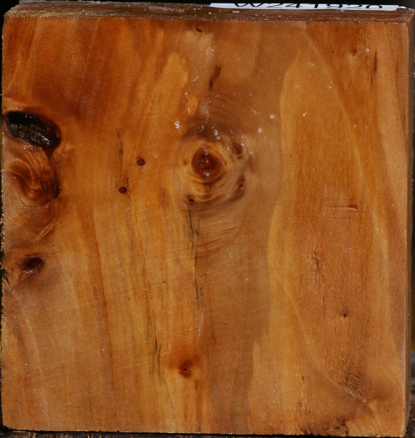 Figured California Cottonwood Bowl Blank