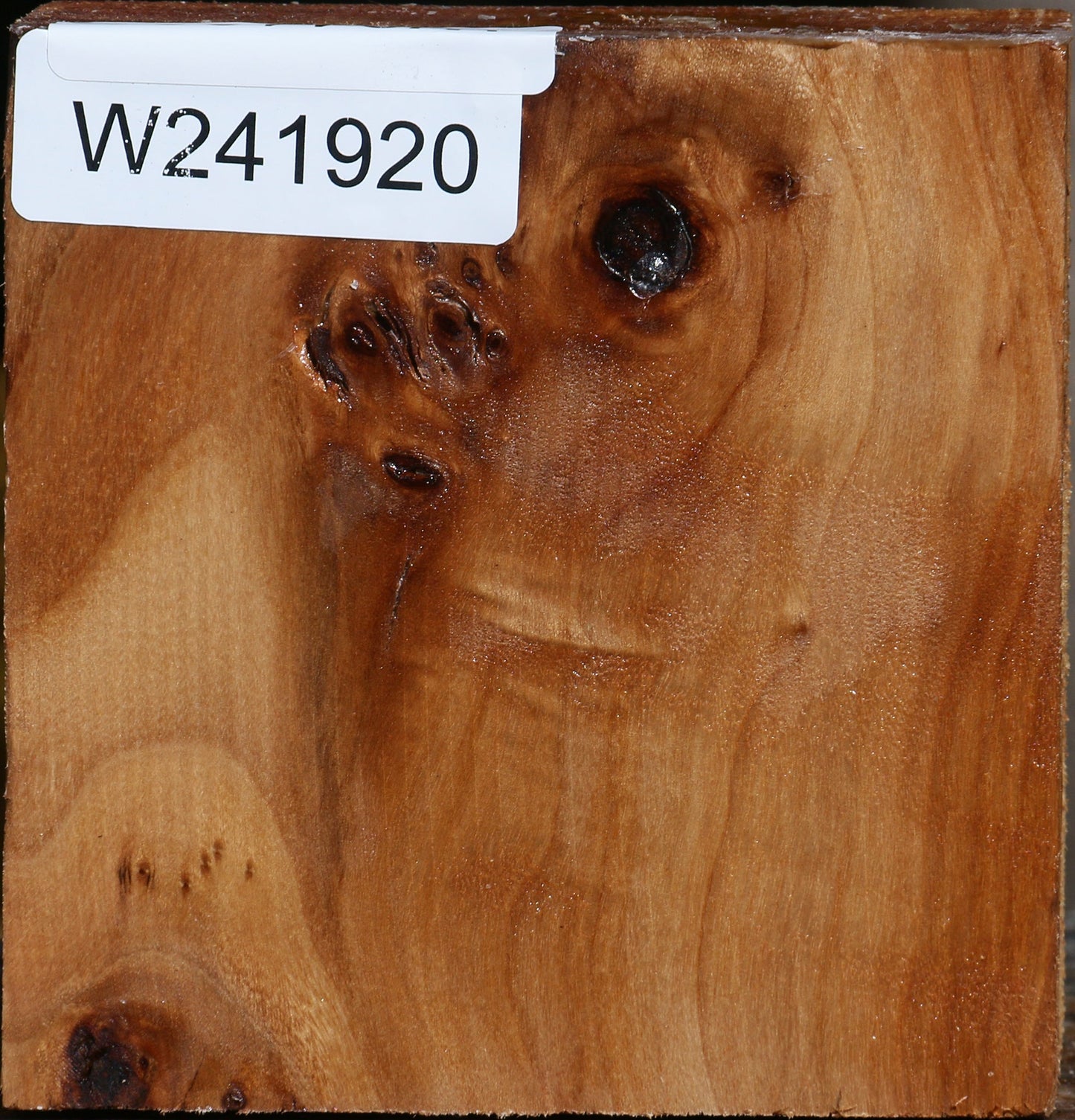 Figured California Cottonwood Bowl Blank