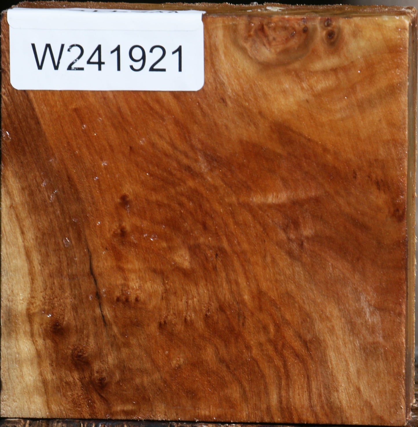 Figured California Cottonwood Bowl Blank