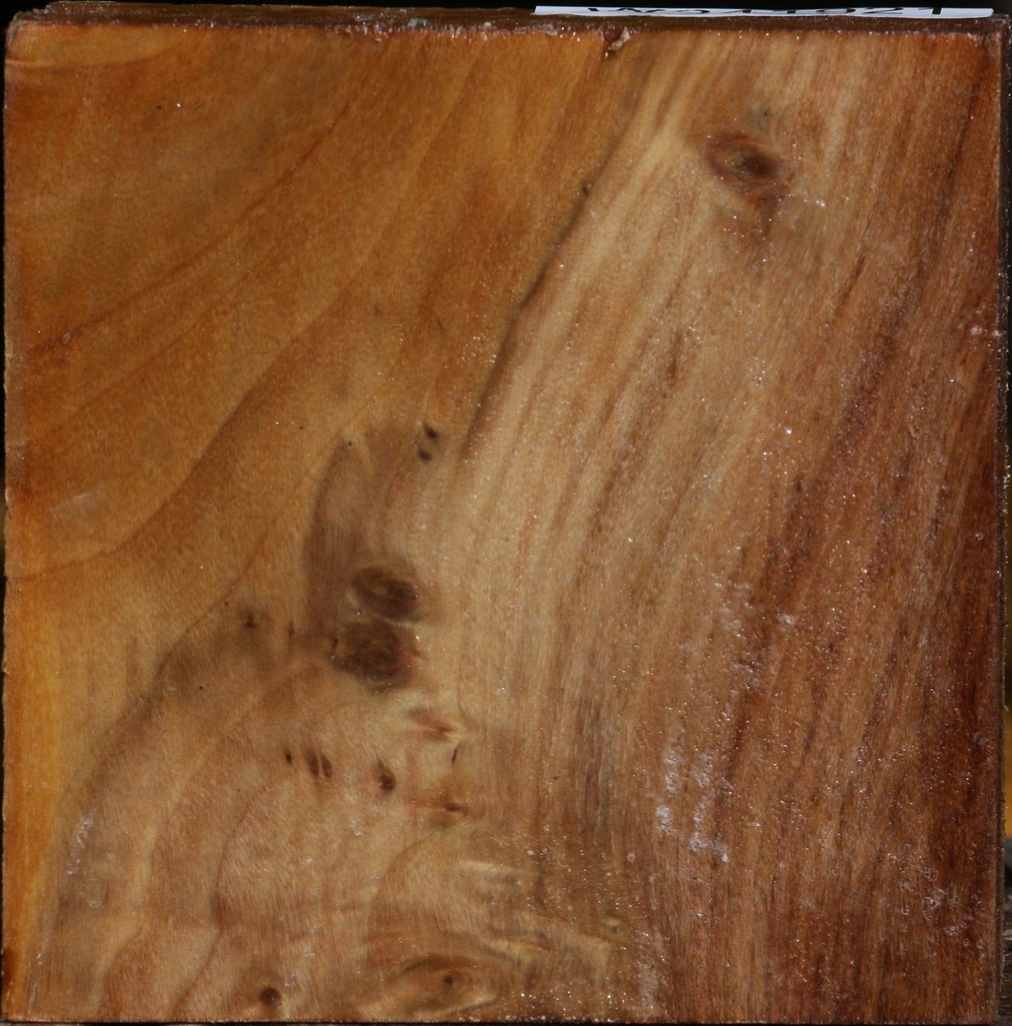 Figured California Cottonwood Bowl Blank