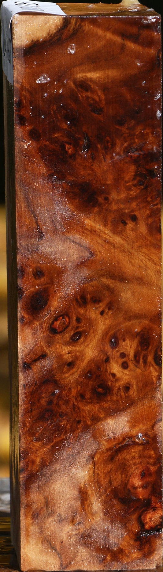 California Cottonwood Burl Turning Blank