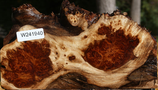 California Cottonwood Burl Live Edge Lumber
