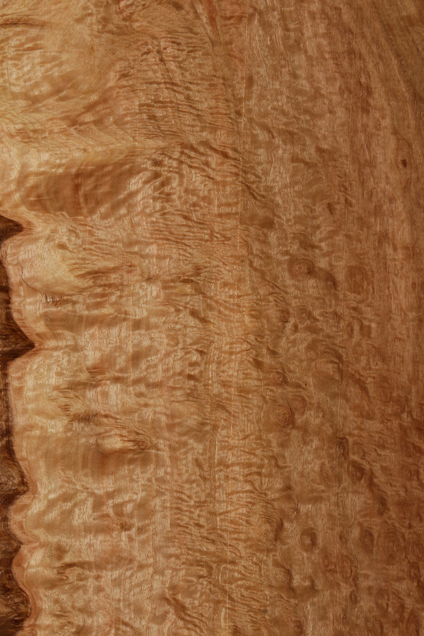 Extra Fancy Pomelle Eucalyptus Live Edge Lumber