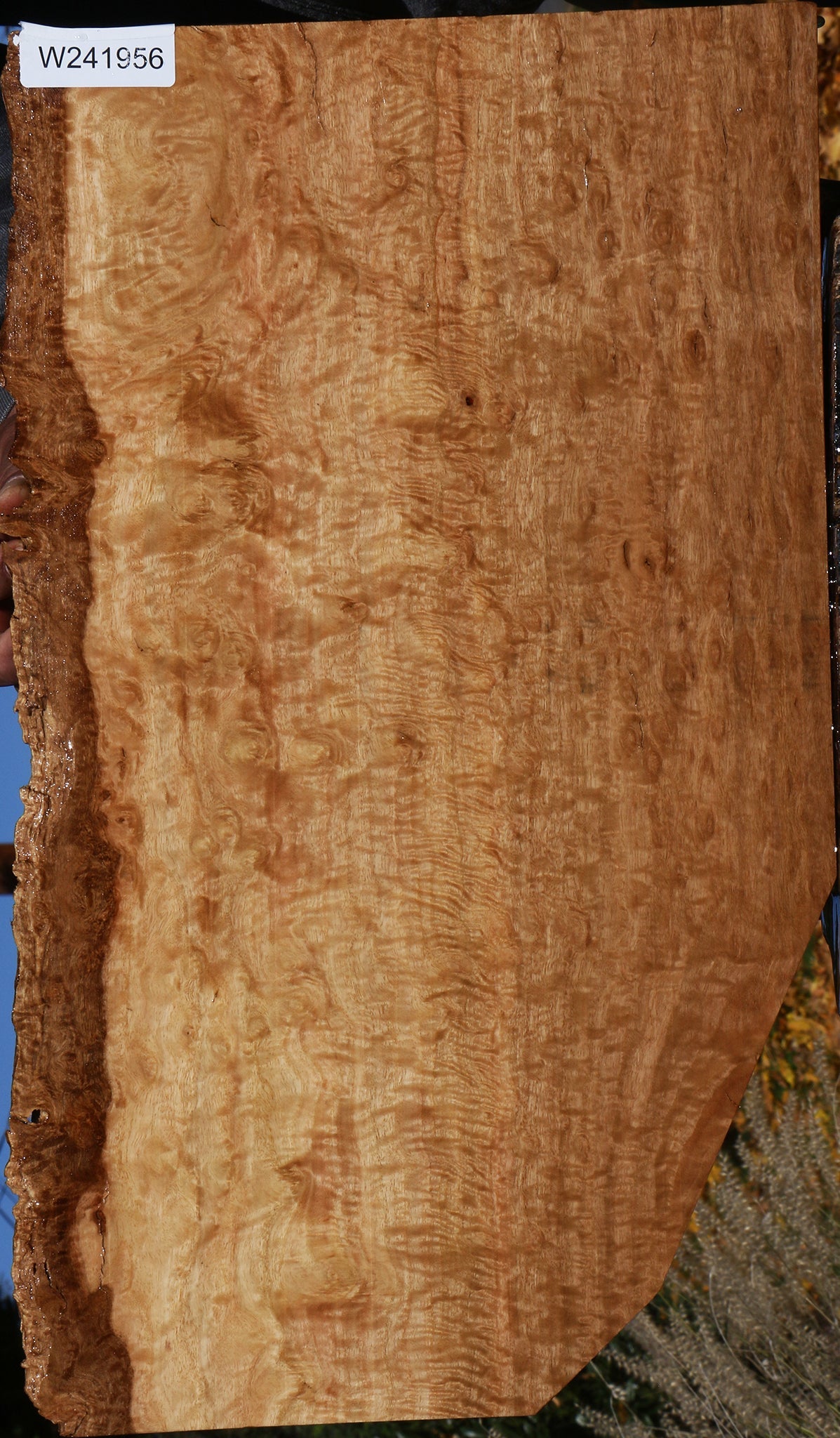 Extra Fancy Pomelle Eucalyptus Live Edge Lumber