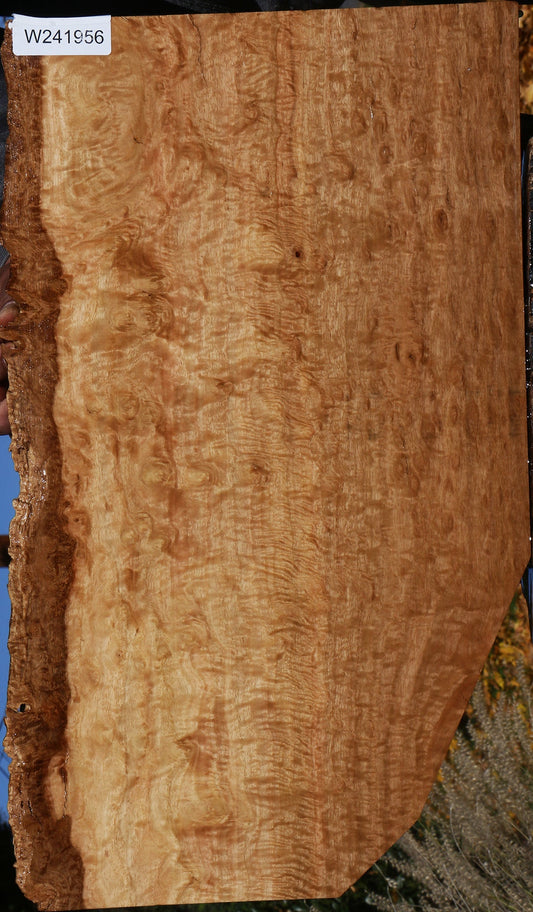 Extra Fancy Pomelle Eucalyptus Live Edge Lumber