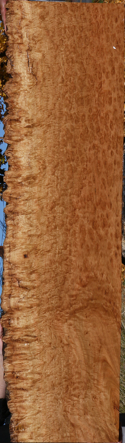 Exhibition Pomelle Eucalyptus Live Edge Lumber