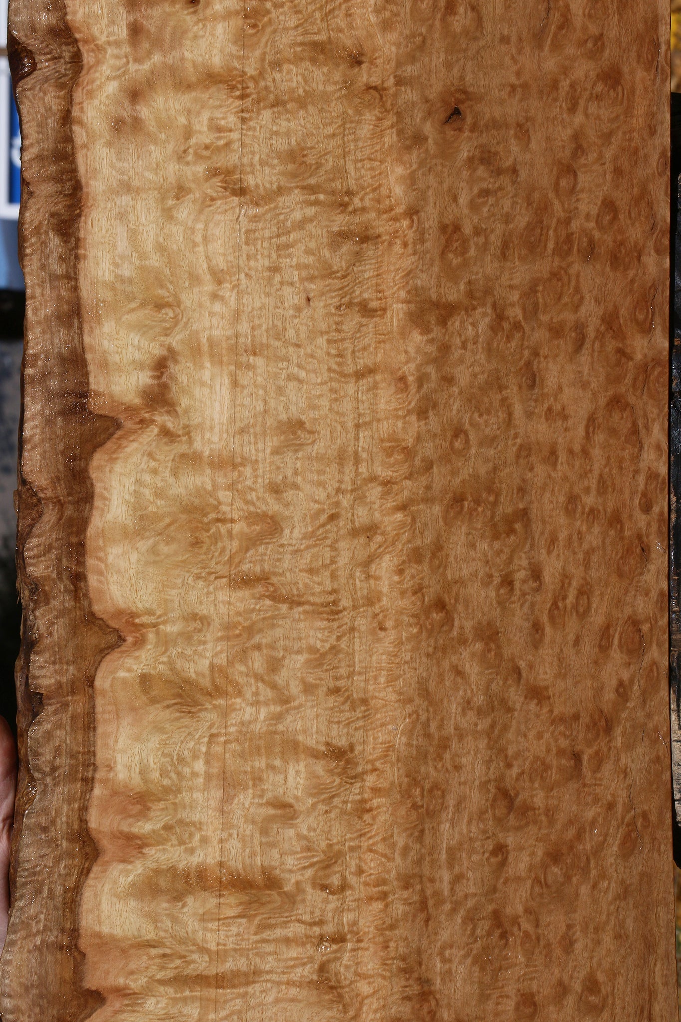 Exhibition Pomelle Eucalyptus Live Edge Lumber