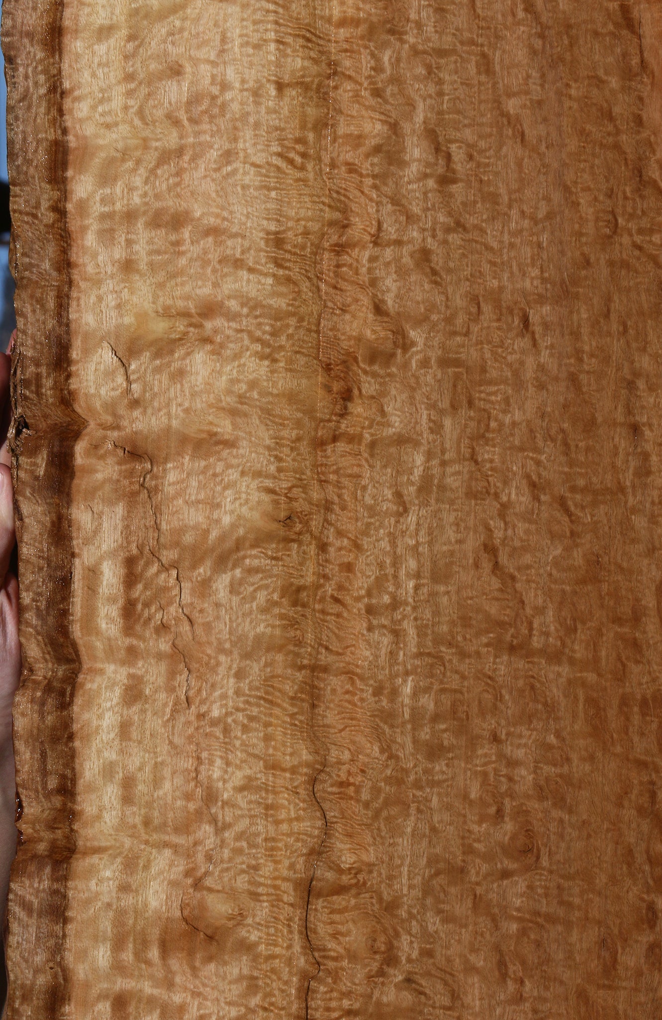 Exhibition Pomelle Eucalyptus Live Edge Lumber