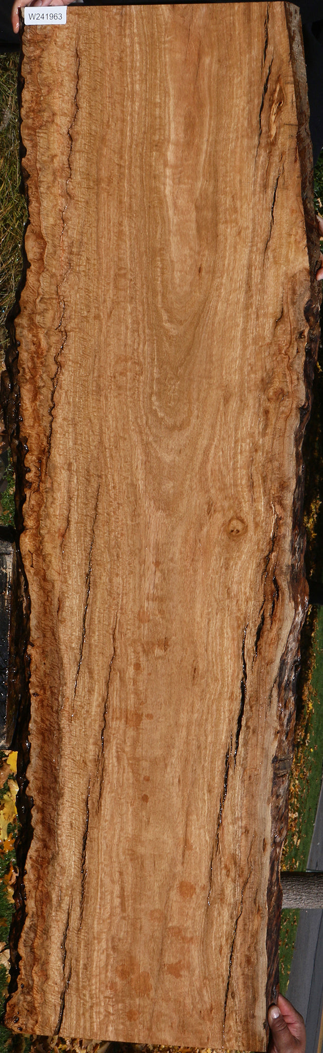 Extra Fancy Pomelle Eucalyptus Live Edge Lumber