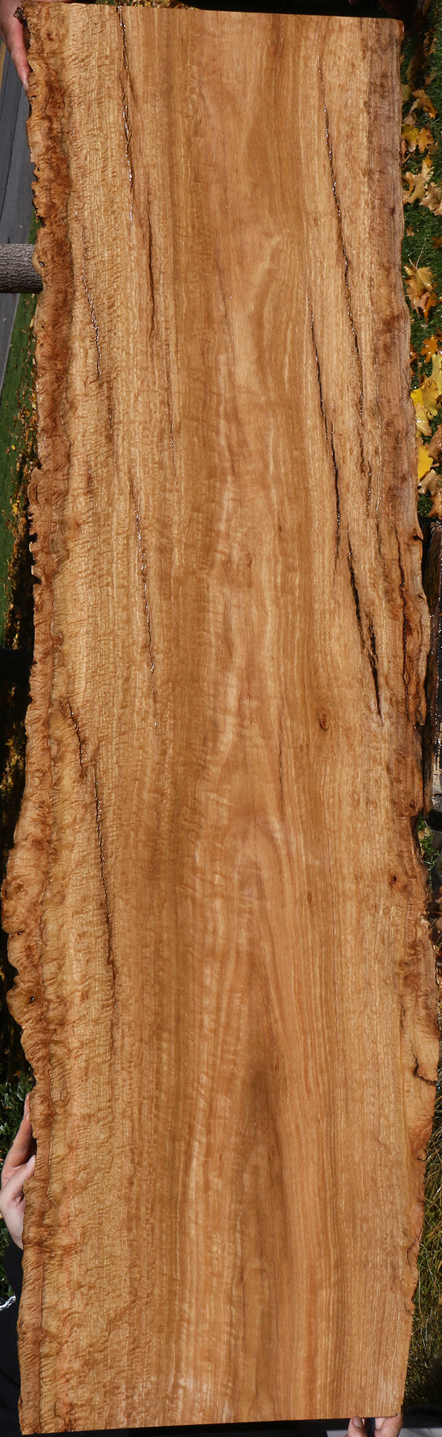 Extra Fancy Pomelle Eucalyptus Live Edge Lumber