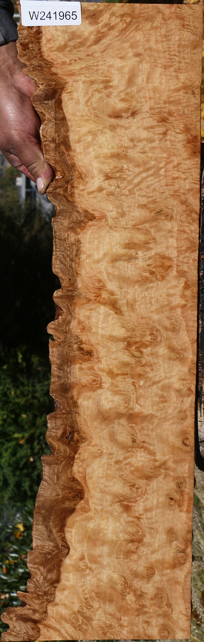 Exhibition Pomelle Eucalyptus Live Edge Lumber