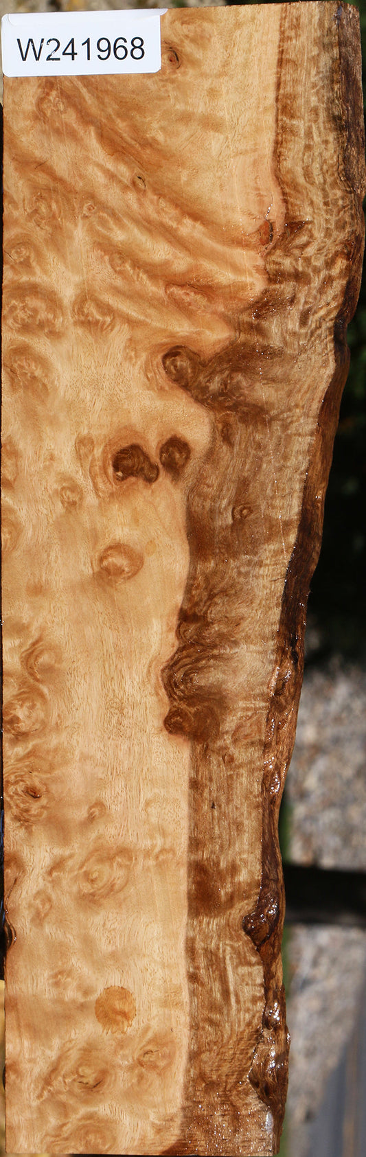 Extra Fancy Pomelle Eucalyptus Live Edge Lumber