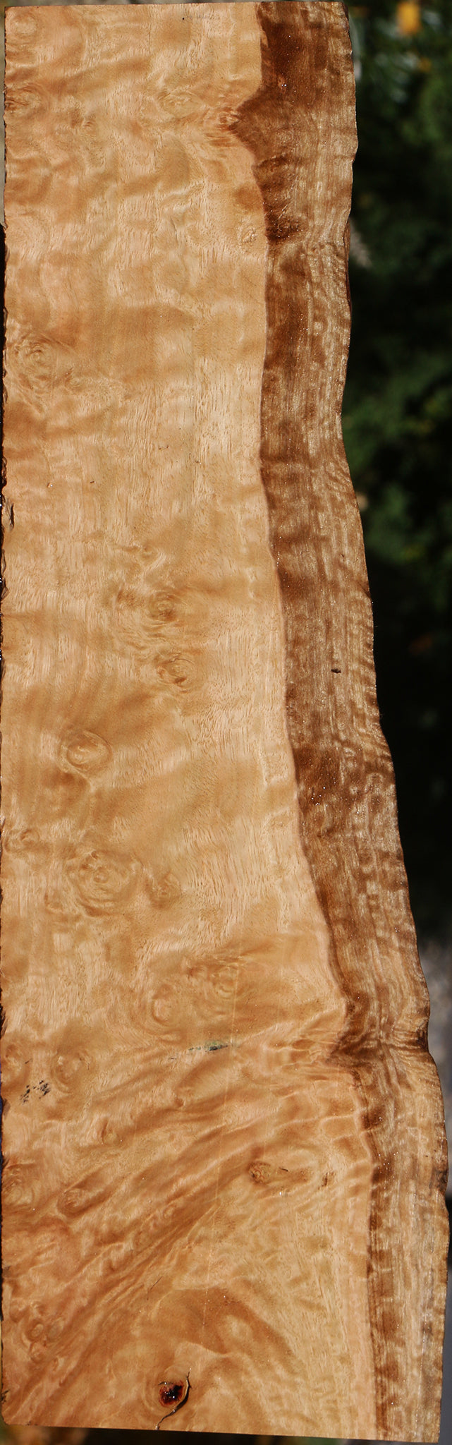 Extra Fancy Pomelle Eucalyptus Live Edge Lumber