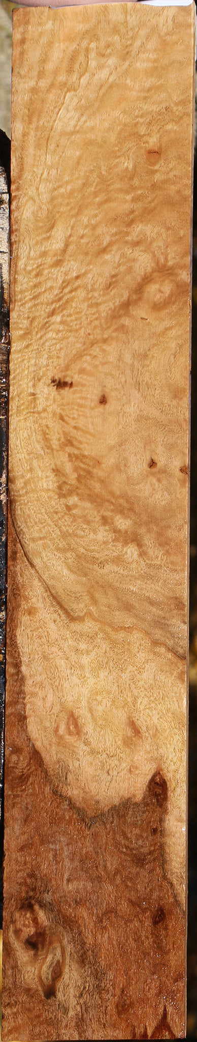 Extra Fancy Pomelle Eucalyptus Lumber