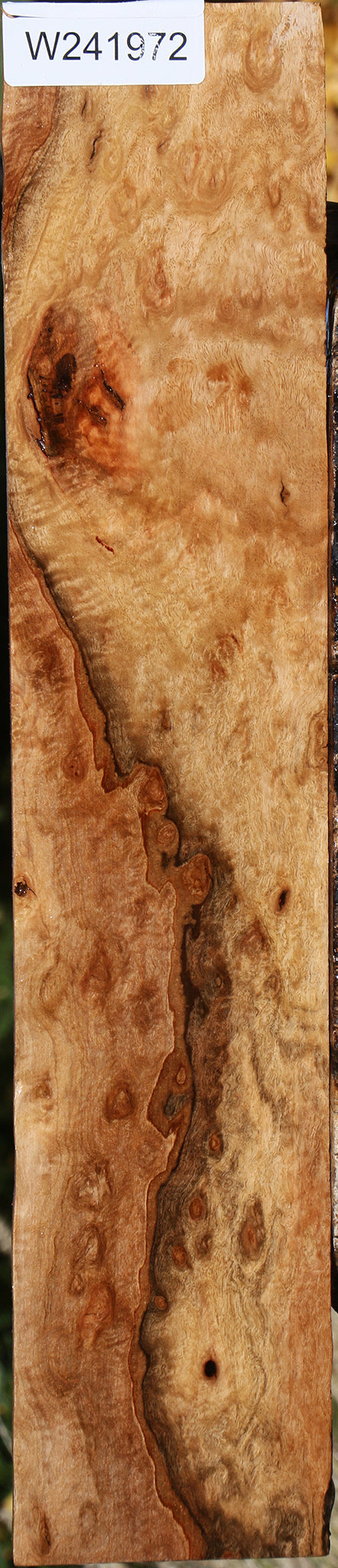 Extra Fancy Pomelle Eucalyptus Lumber