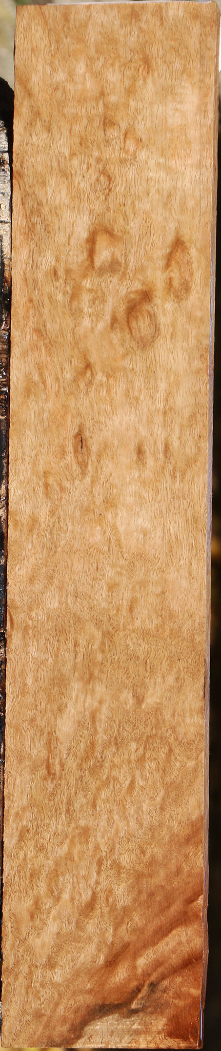 Extra Fancy Pomelle Eucalyptus Lumber