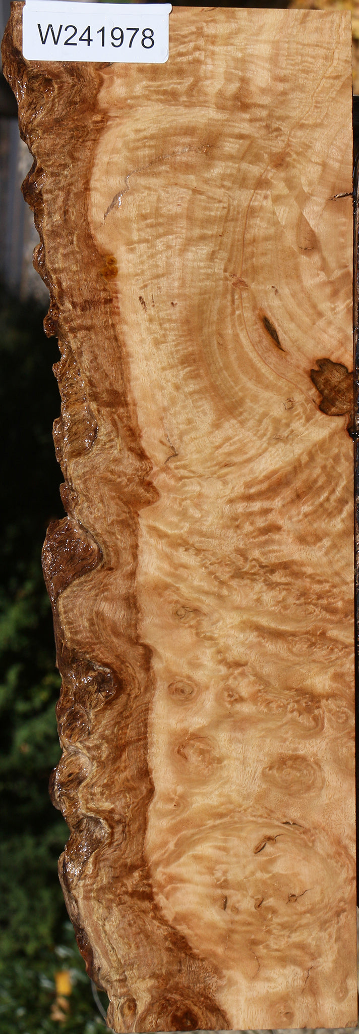 Extra Fancy Pomelle Eucalyptus Live Edge Lumber