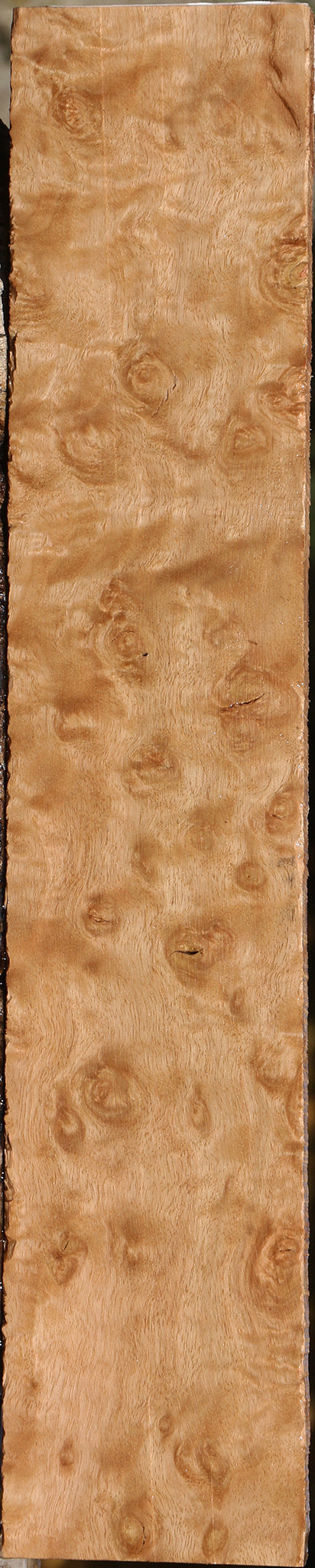 Extra Fancy Pomelle Eucalyptus Lumber