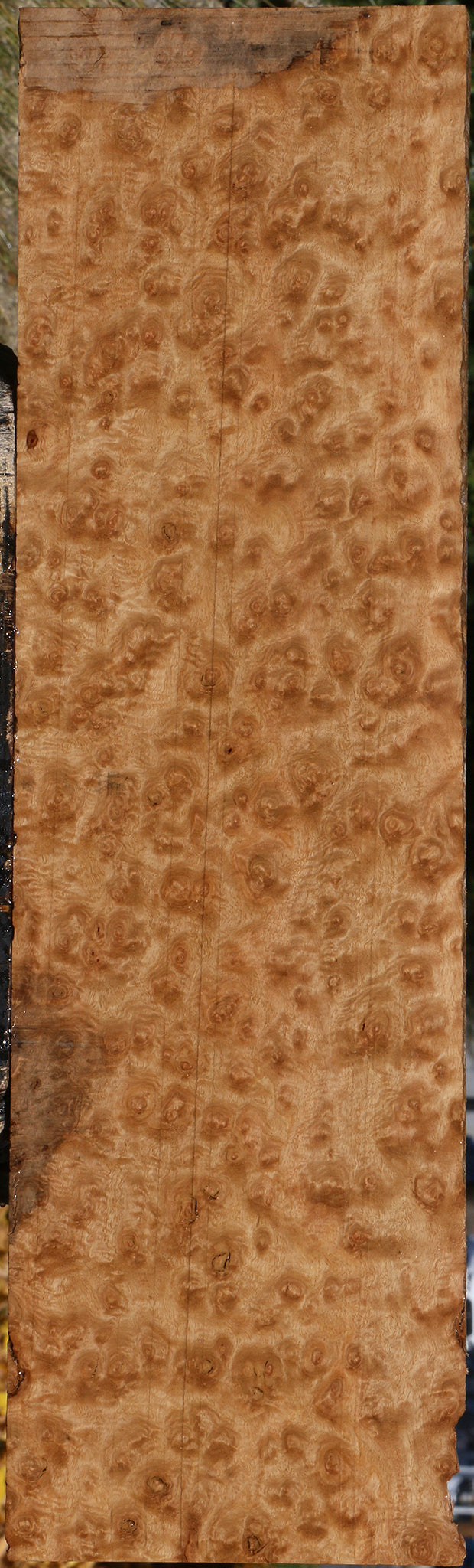 Exhibition Pomelle Eucalyptus Lumber