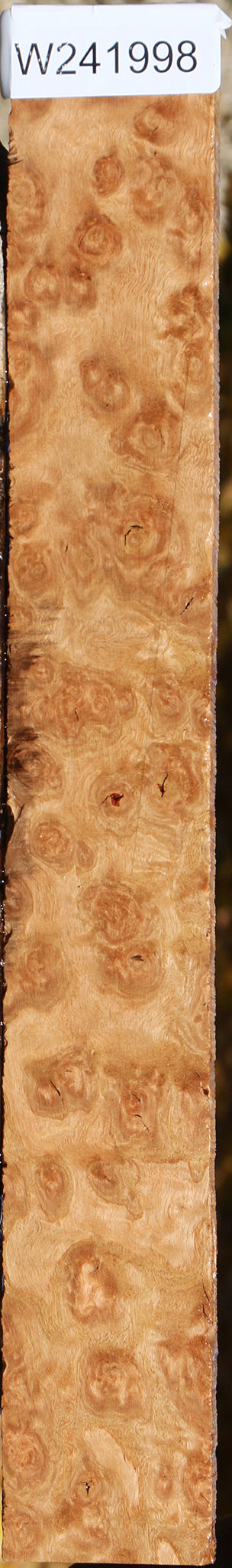 Exhibition Pomelle Eucalyptus Lumber