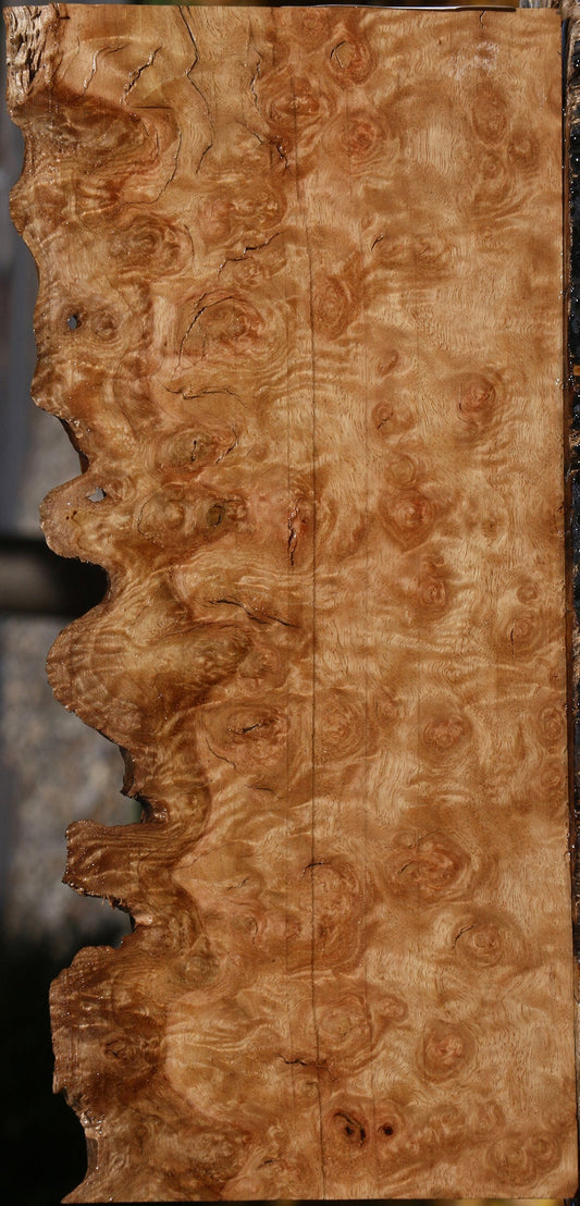 Extra Fancy Pomelle Eucalyptus Live Edge Lumber