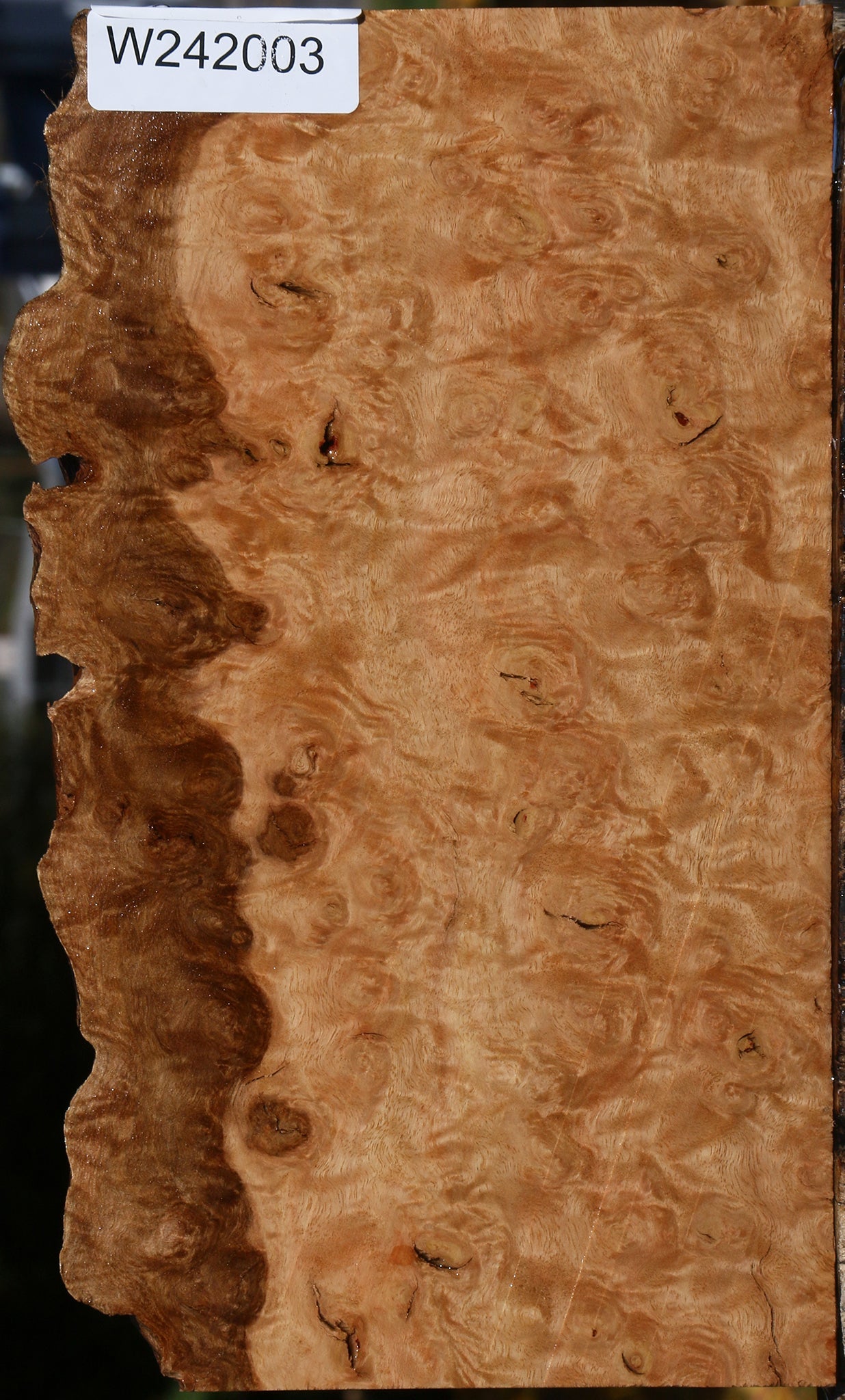 Extra Fancy Pomelle Eucalyptus Live Edge Lumber