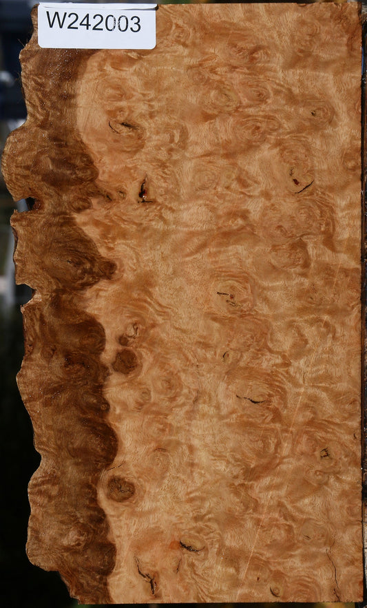 Extra Fancy Pomelle Eucalyptus Live Edge Lumber