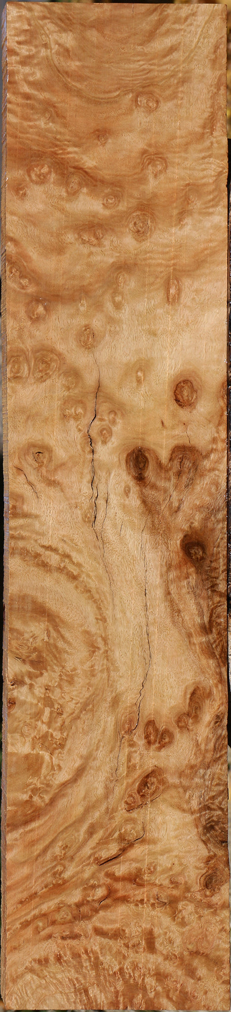 Extra Fancy Pomelle Eucalyptus Lumber