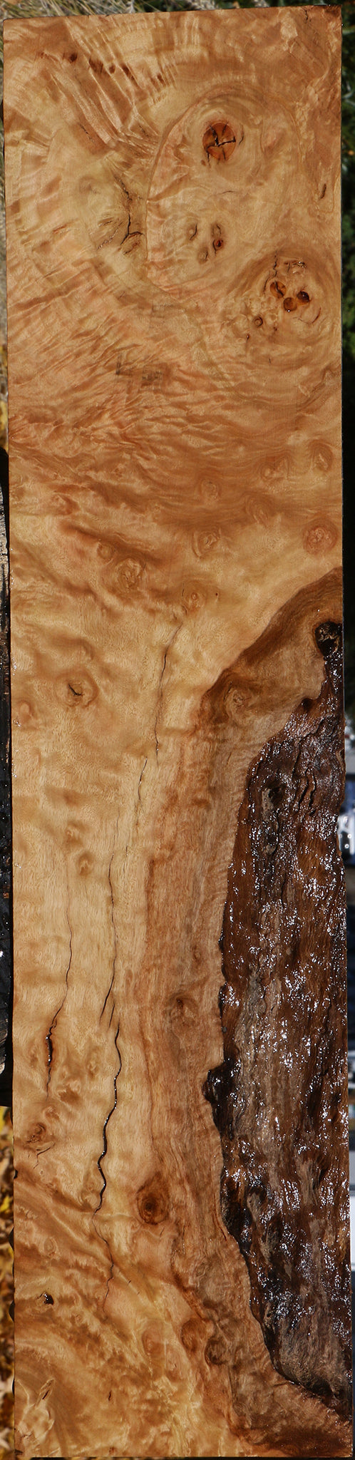 Extra Fancy Rustic Pomelle Eucalyptus Lumber