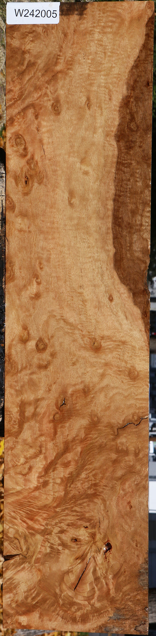 Extra Fancy Rustic Pomelle Eucalyptus Lumber