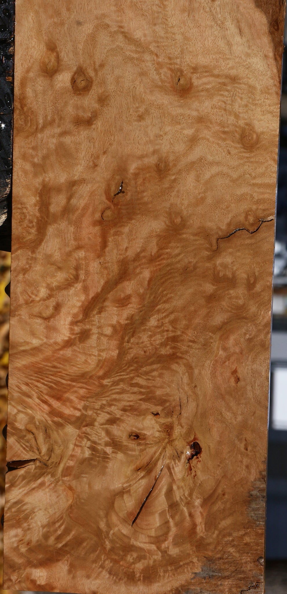 Extra Fancy Rustic Pomelle Eucalyptus Lumber