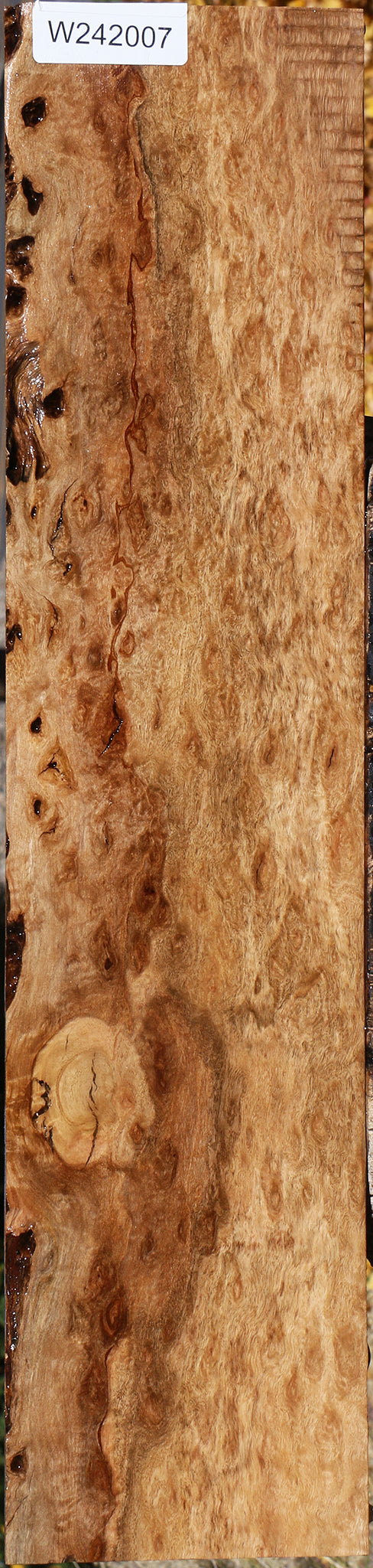 Extra Fancy Pomelle Eucalyptus Lumber