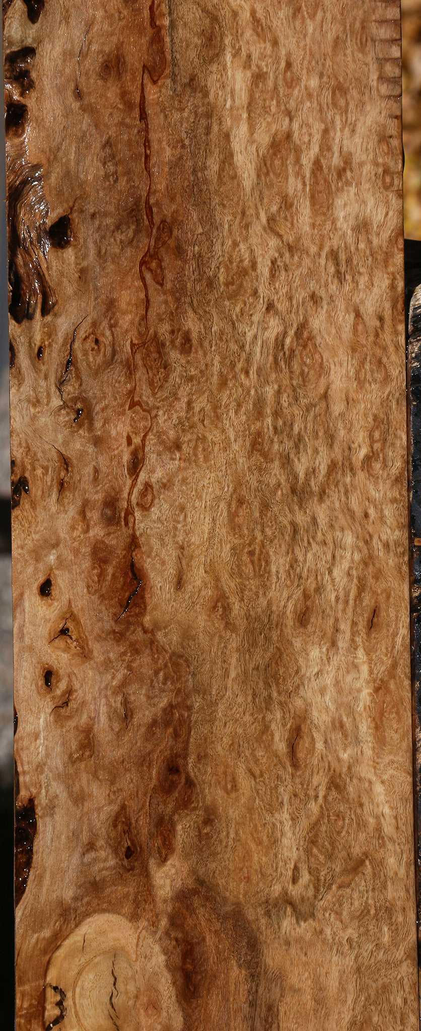 Extra Fancy Pomelle Eucalyptus Lumber