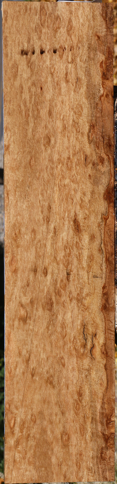 Extra Fancy Pomelle Eucalyptus Lumber