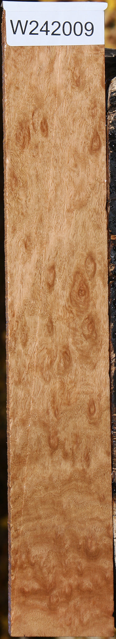 Extra Fancy Pomelle Eucalyptus Lumber