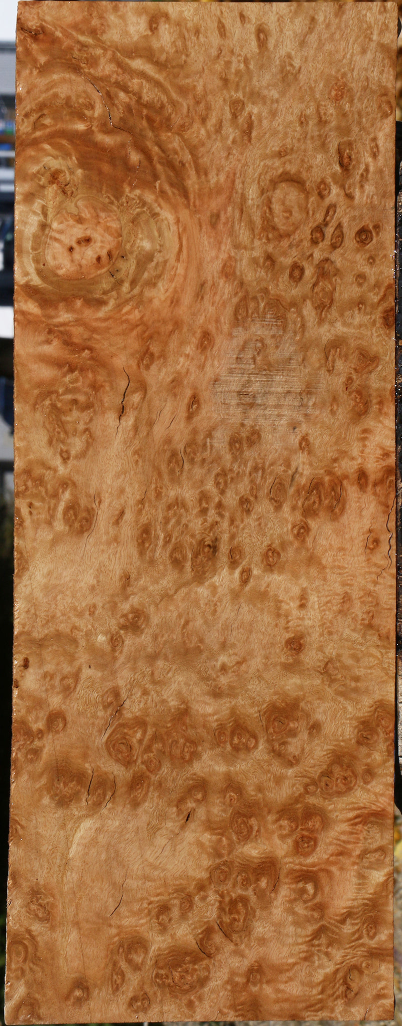 Extra Fancy Pomelle Eucalyptus Lumber