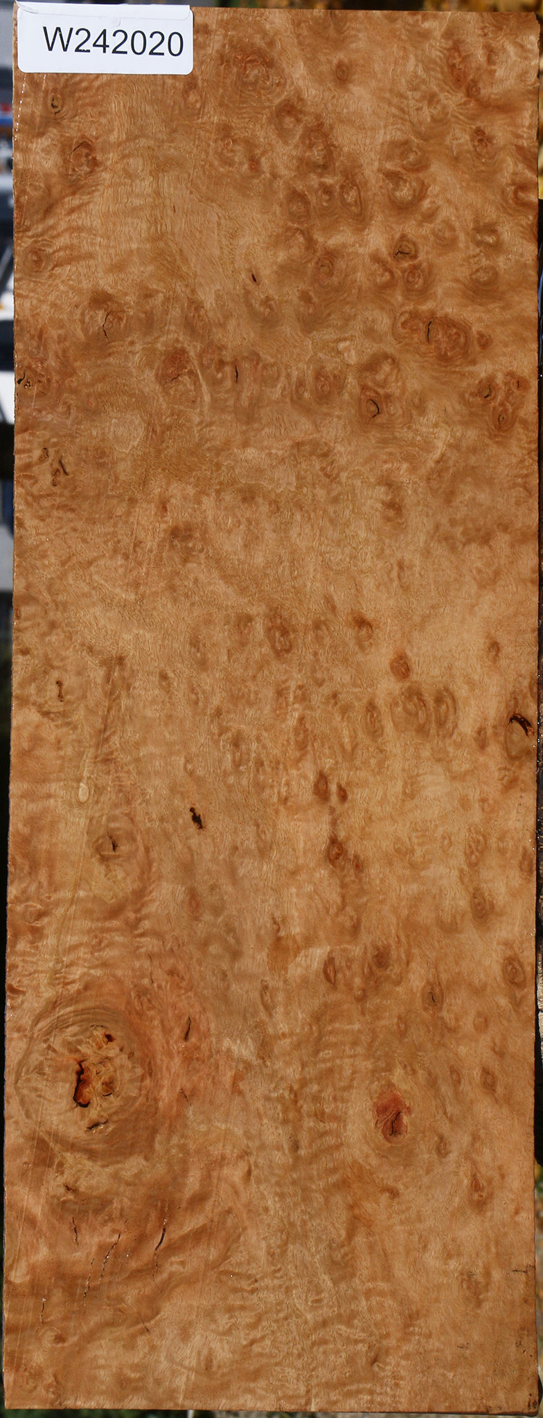 Extra Fancy Pomelle Eucalyptus Lumber