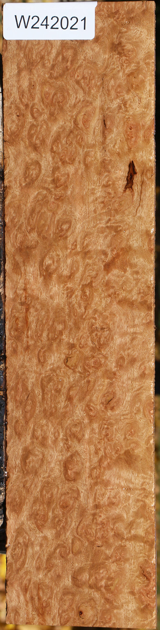 Exhibition Pomelle Eucalyptus Micro Lumber