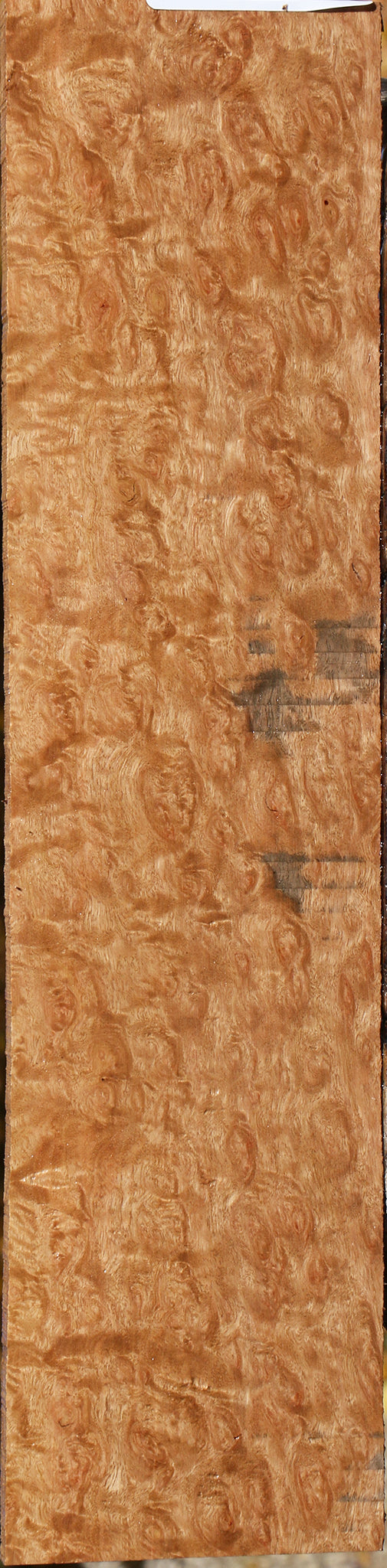 Exhibition Pomelle Eucalyptus Micro Lumber