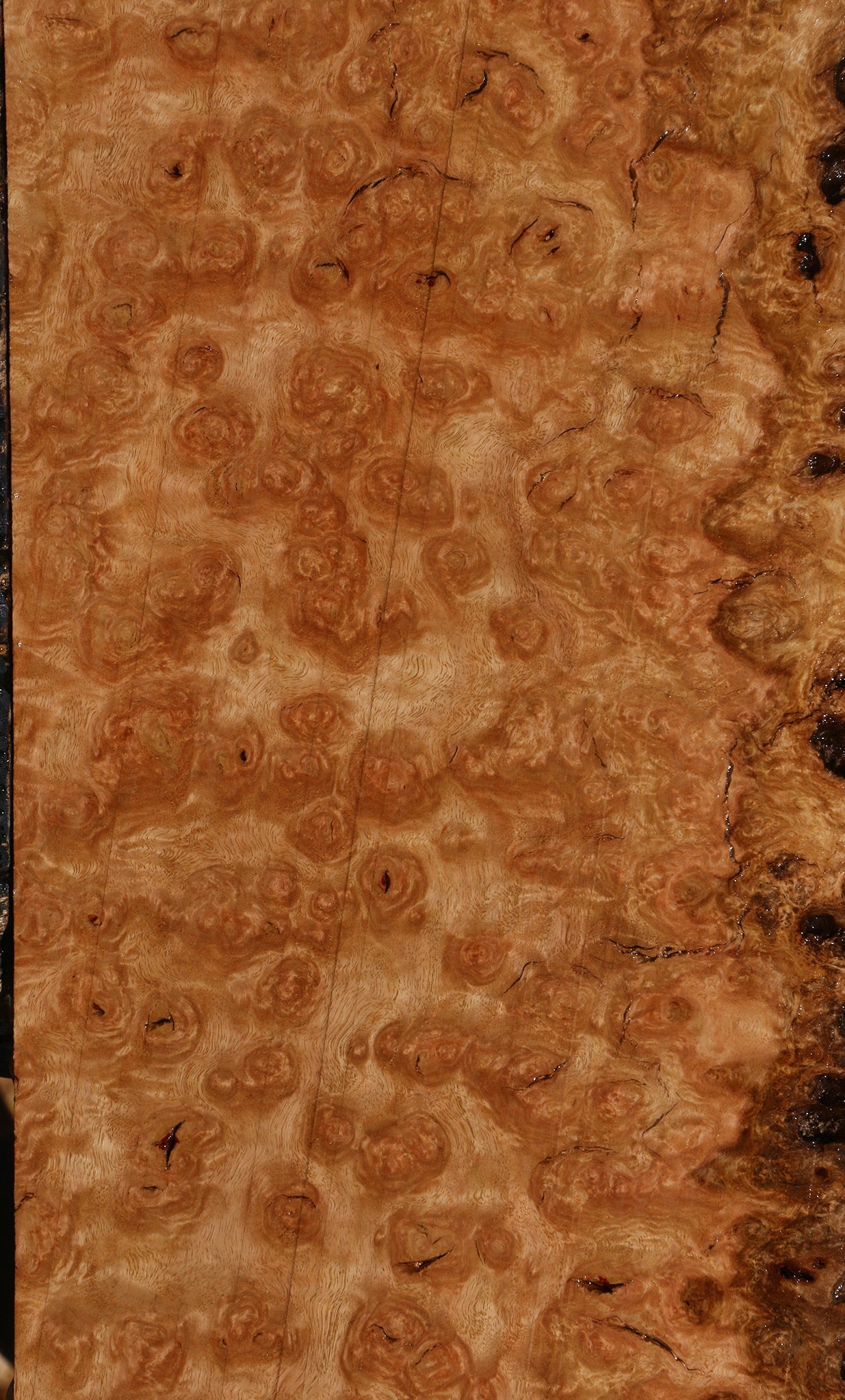 Exhibition Rustic Pomelle Eucalyptus Live Edge Lumber