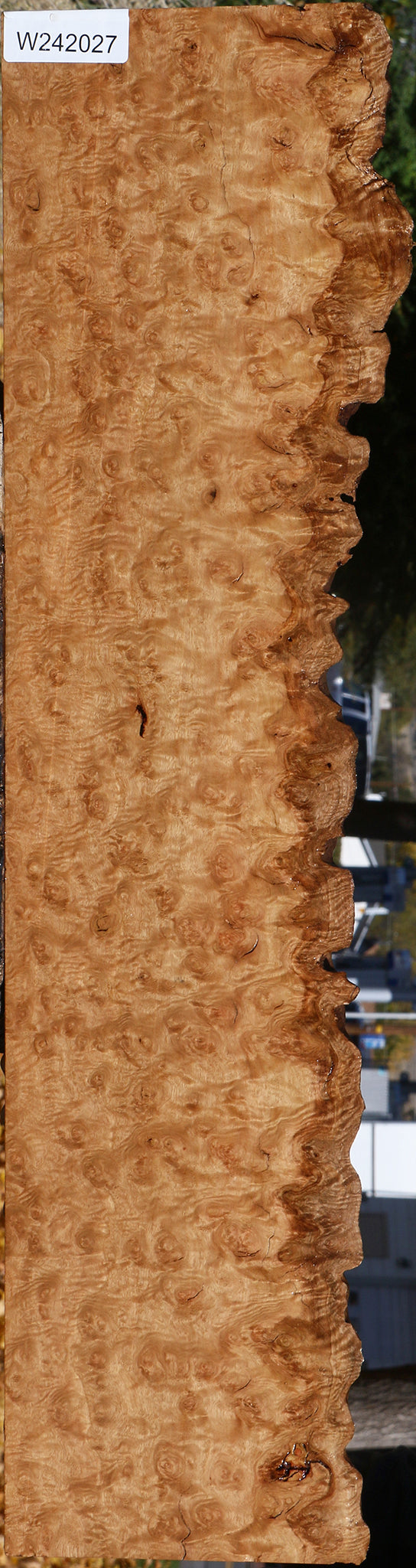 Exhibition Pomelle Eucalyptus Live Edge Lumber