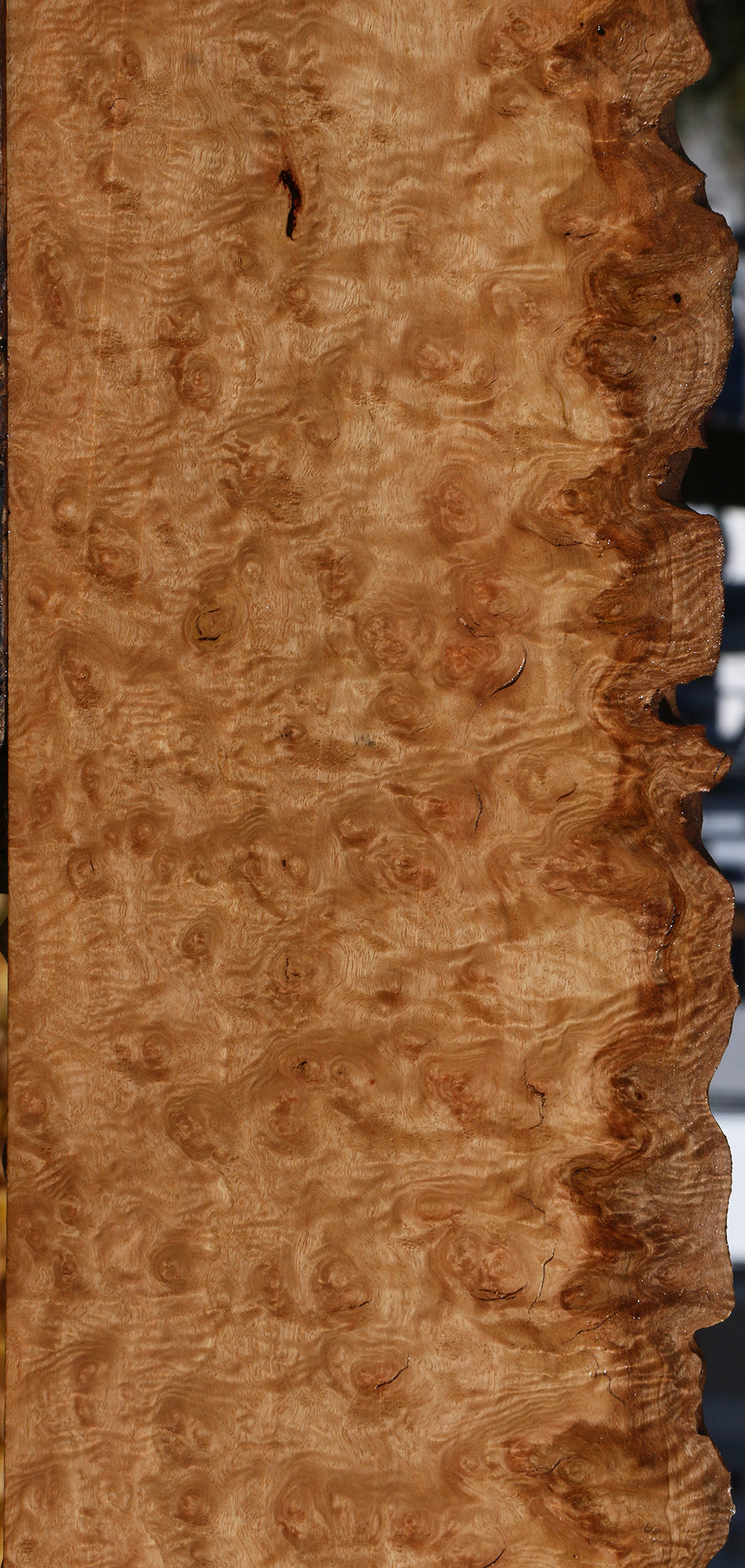 Exhibition Pomelle Eucalyptus Live Edge Lumber