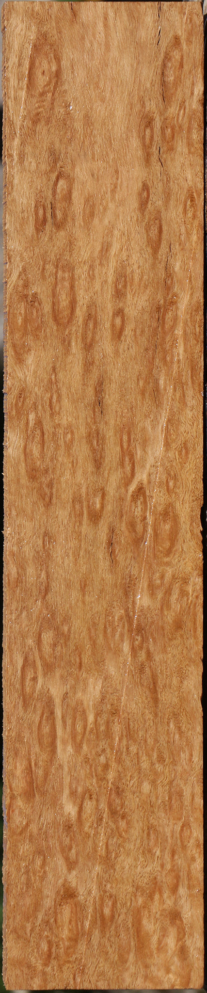 Exhibition Pomelle Eucalyptus Lumber