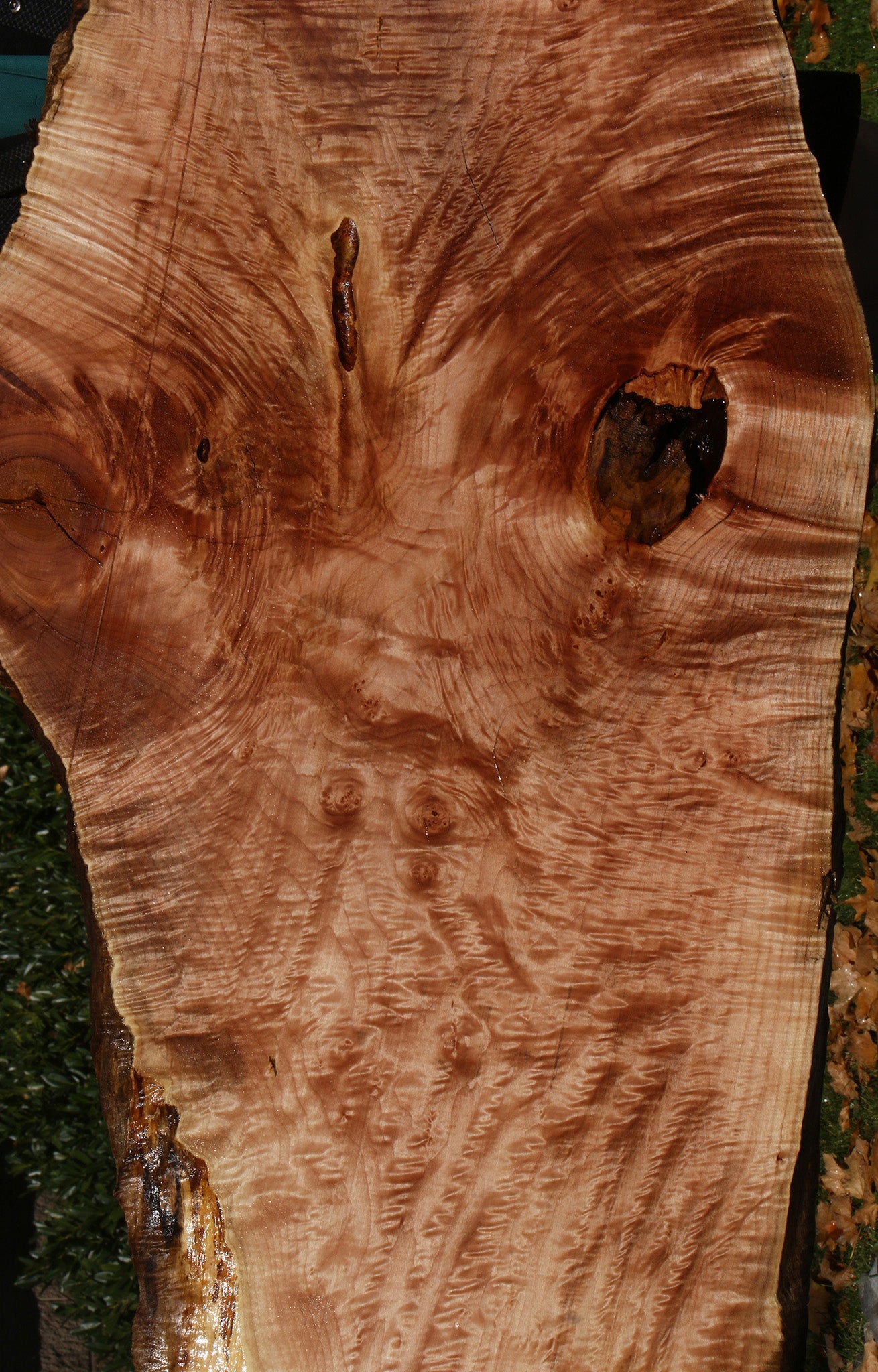 AAA Quilted Maple Live Edge Slab  (Free Shipping Excluded)