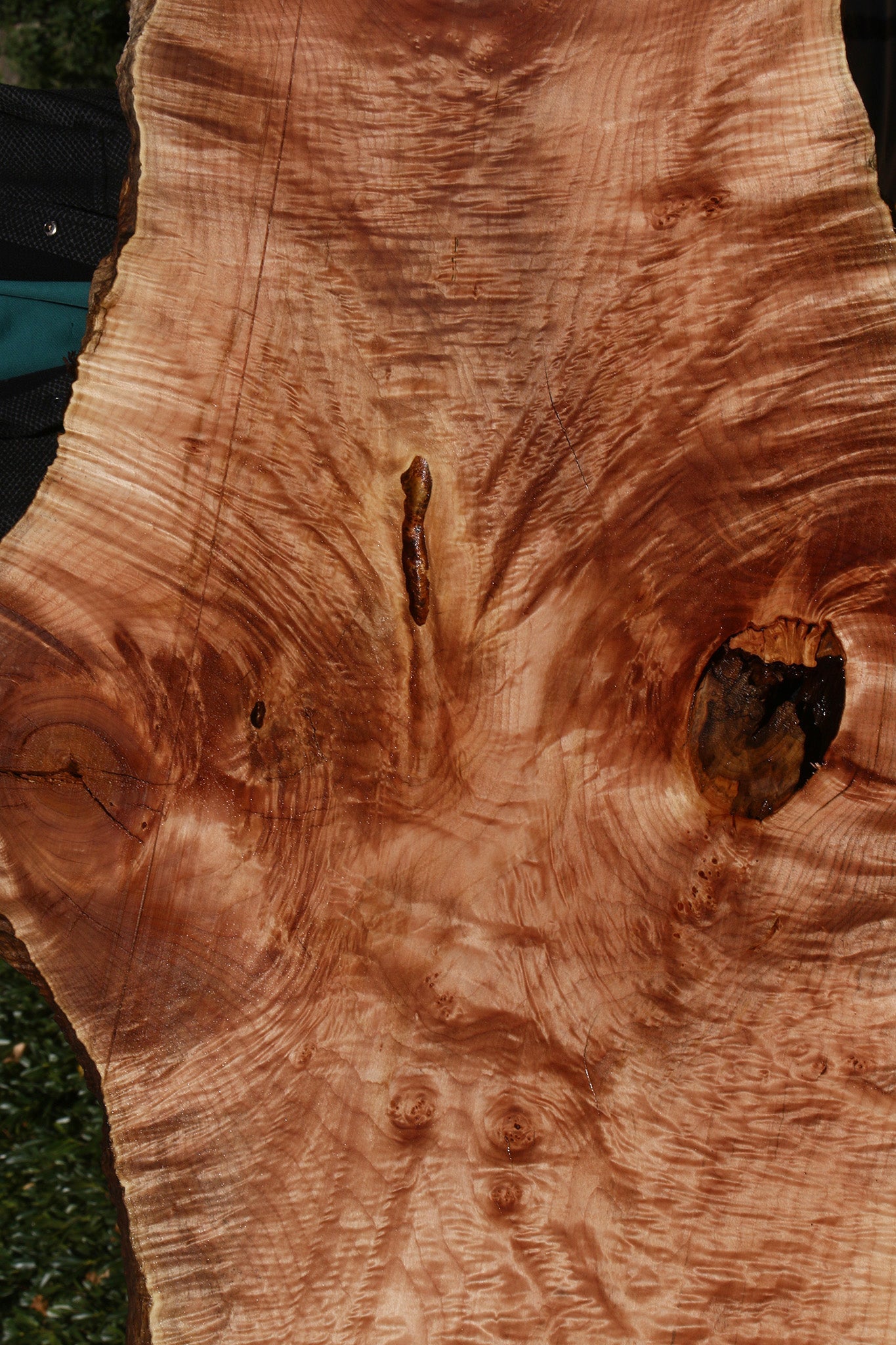 AAA Quilted Maple Live Edge Slab  (Free Shipping Excluded)