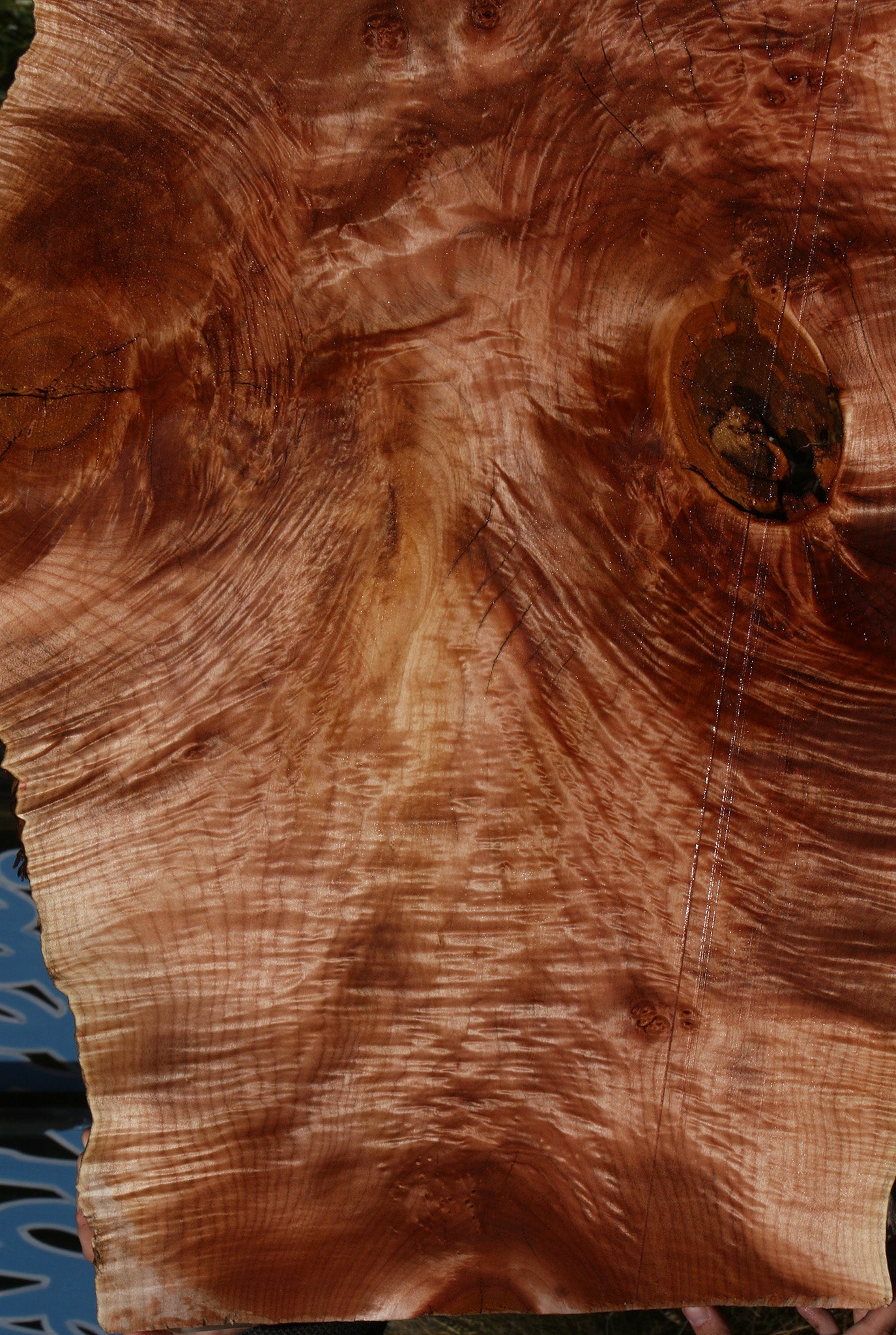 AAA Quilted Maple Live Edge Slab  (Free Shipping Excluded)