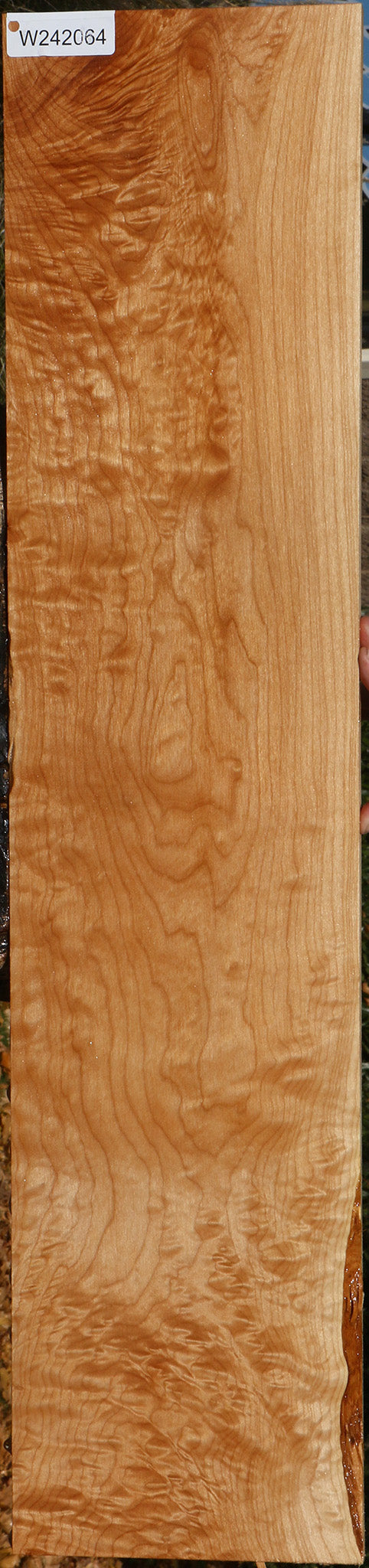 AA Quilted Maple Lumber