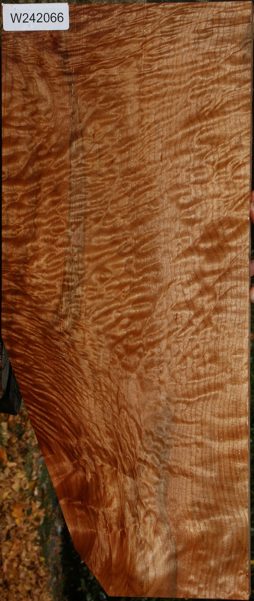 AAAAA Quilted Maple Instrument Lumber