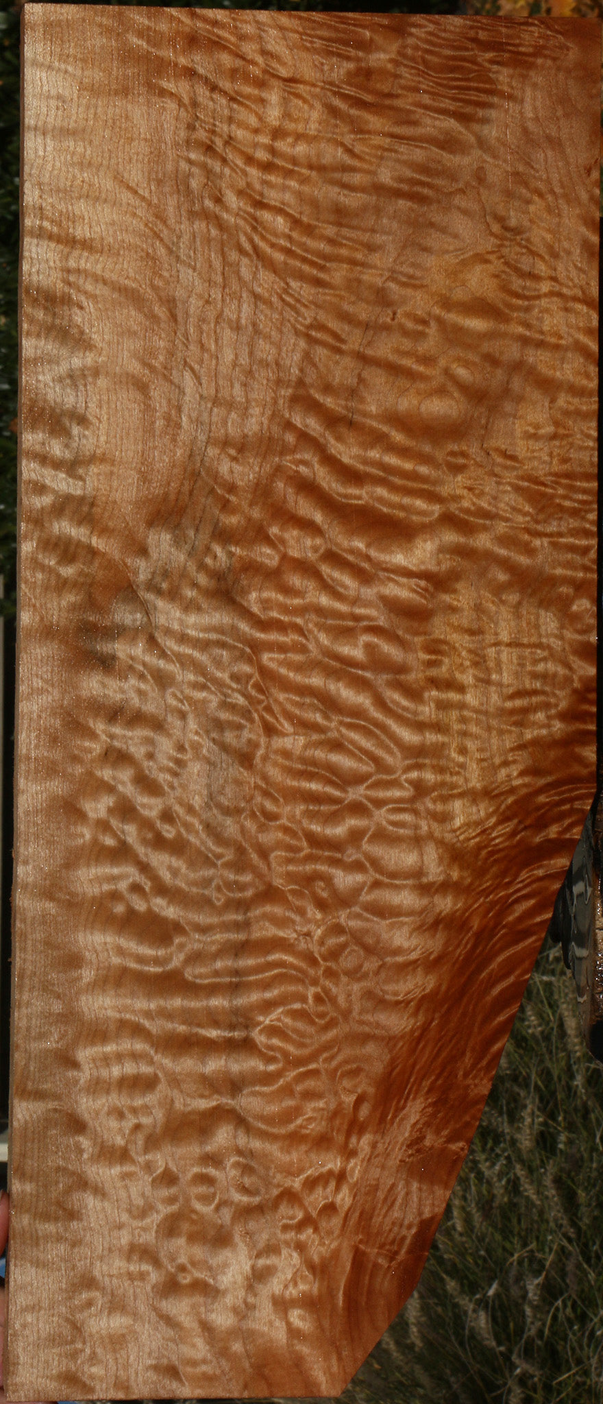 AAAAA Quilted Maple Instrument Lumber