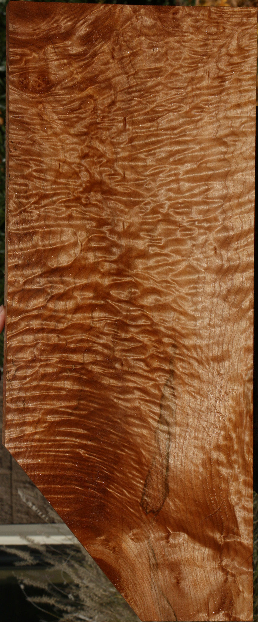 AAAAA Quilted Maple Instrument Lumber